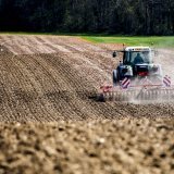 Sur les sites d'herbages exploités de manière intensive, des hausses de cuivre et de zinc sont constatées (illustration). KEYSTONE/JEAN-CHRISTOPHE BOTT